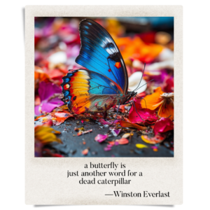 a butterfly is / just another word for a / dead caterpillar