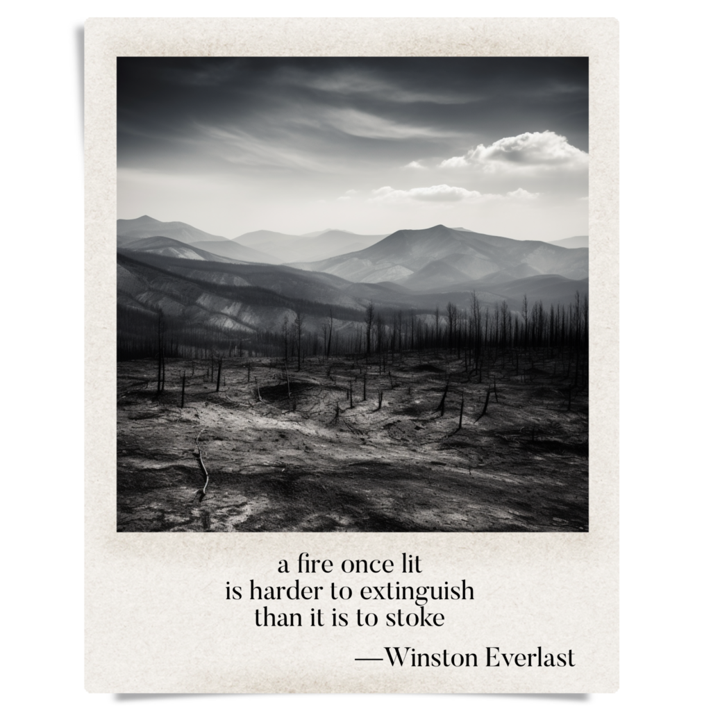 a fire once lit / is harder to extinguish / than it is to stoke — haiga by Winston Everlast