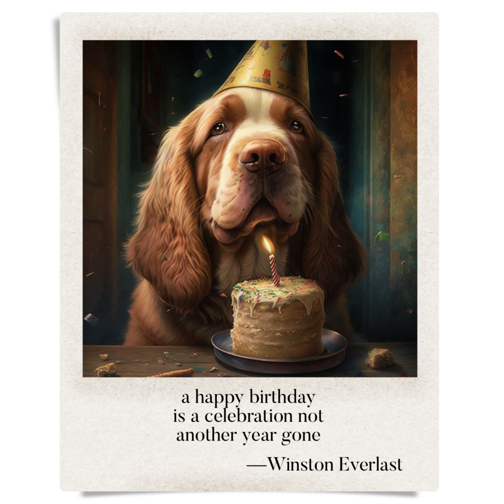 a happy birthday / is a celebration not / another year gone — haiga by Winston Everlast