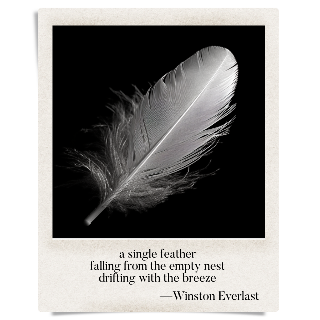 a single feather / falling from the empty nest / drifting with the breeze — haiga by Winston Everlast