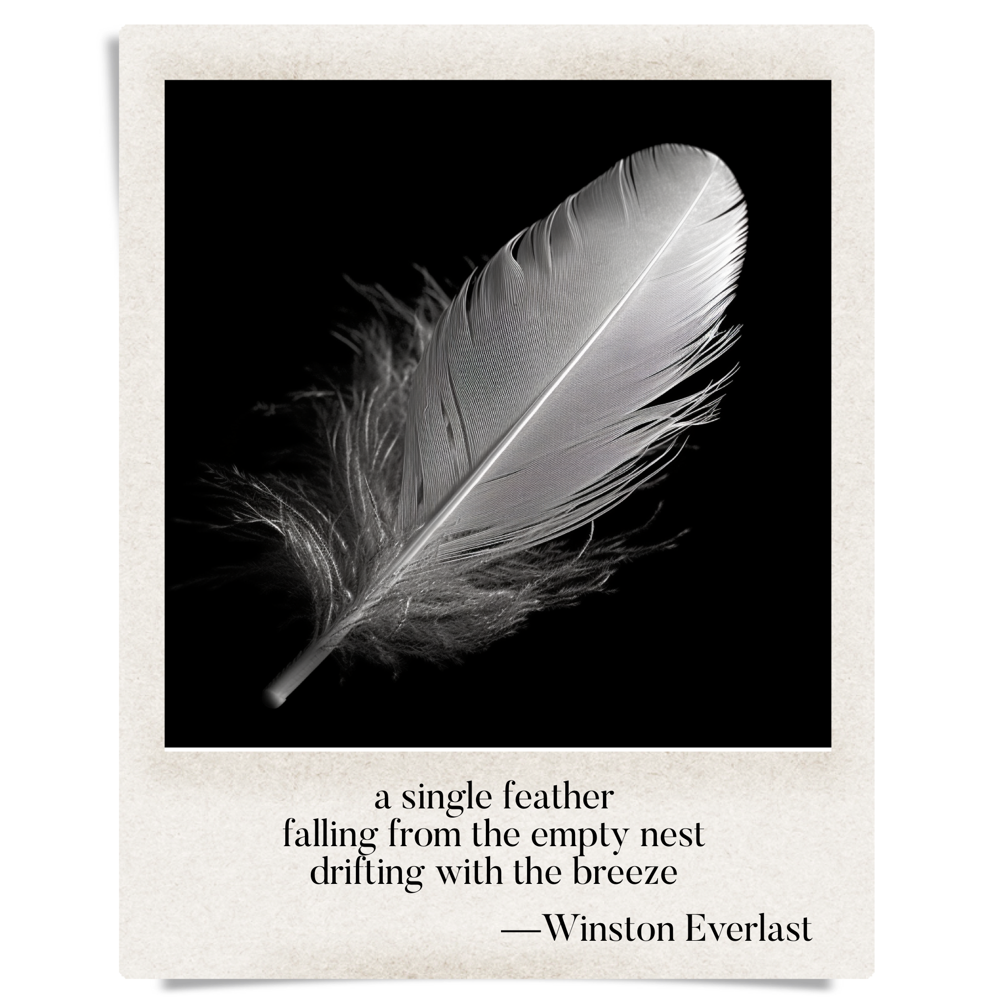 a single feather / falling from the empty nest / drifting with the breeze — haiga by Winston Everlast