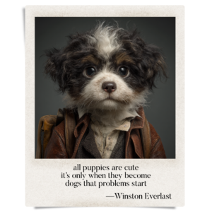 all puppies are cute / it’s only when they become / dogs that problems start