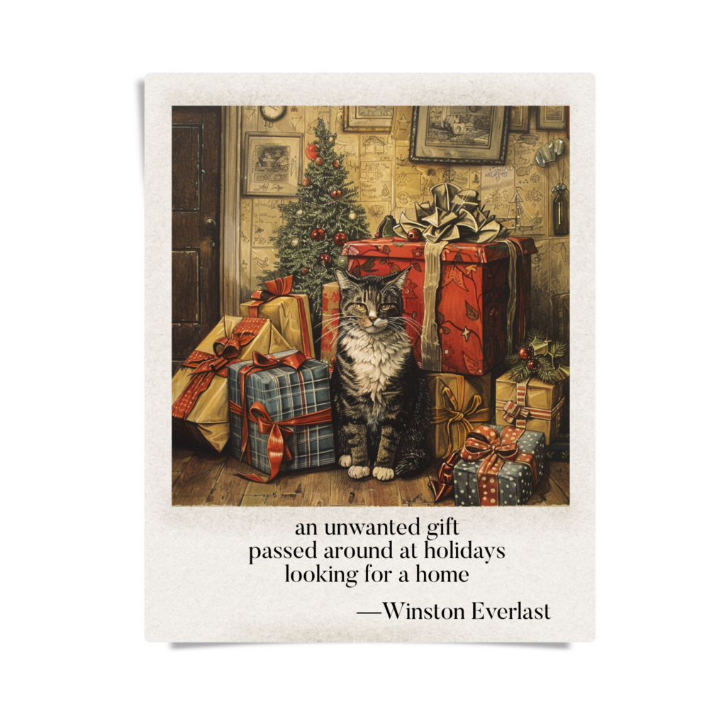 an unwanted gift / passed around at holidays / looking for a home — haiga by Winston Everlast