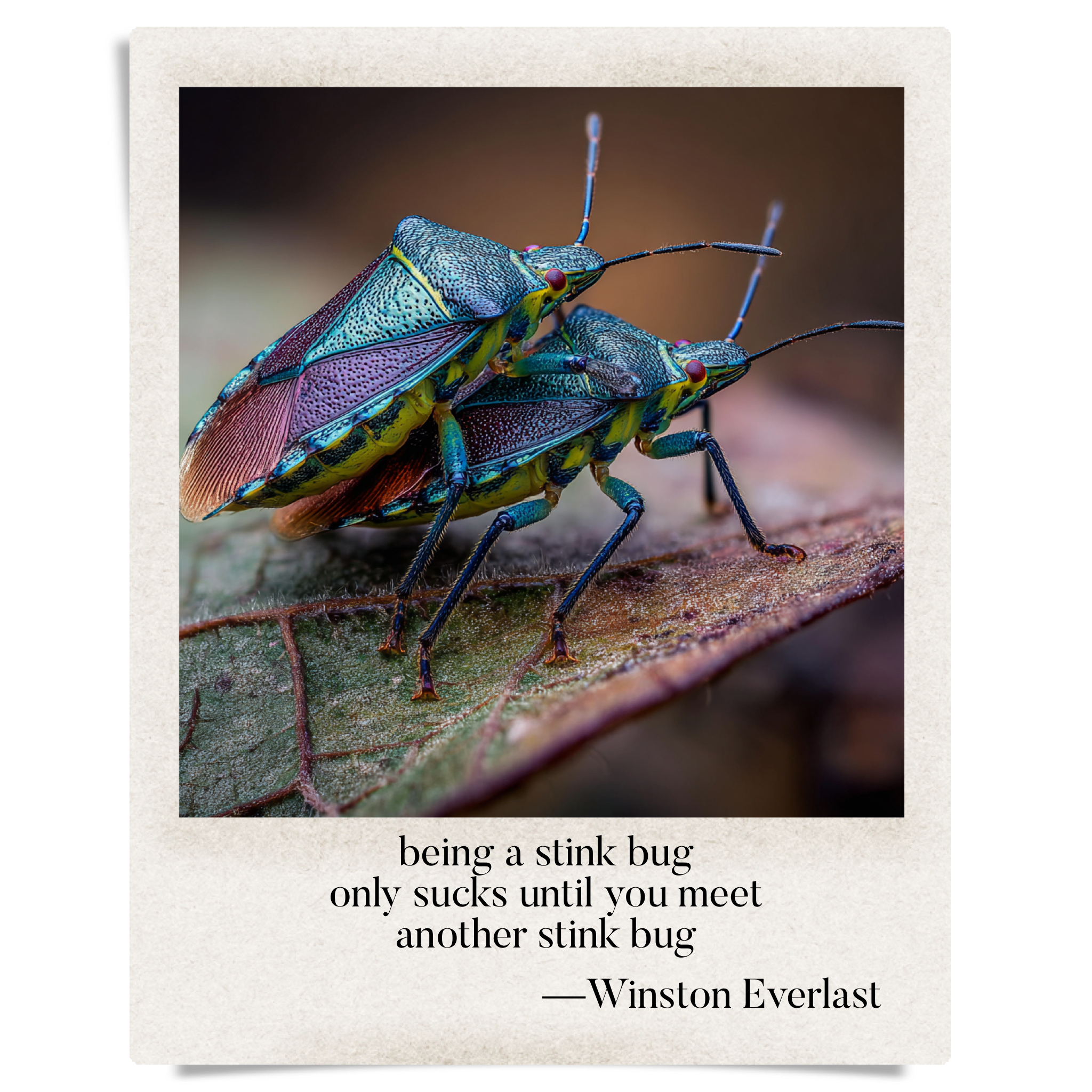 being a stink bug / only sucks until you meet / another stink bug — haiga by Winston Everlast