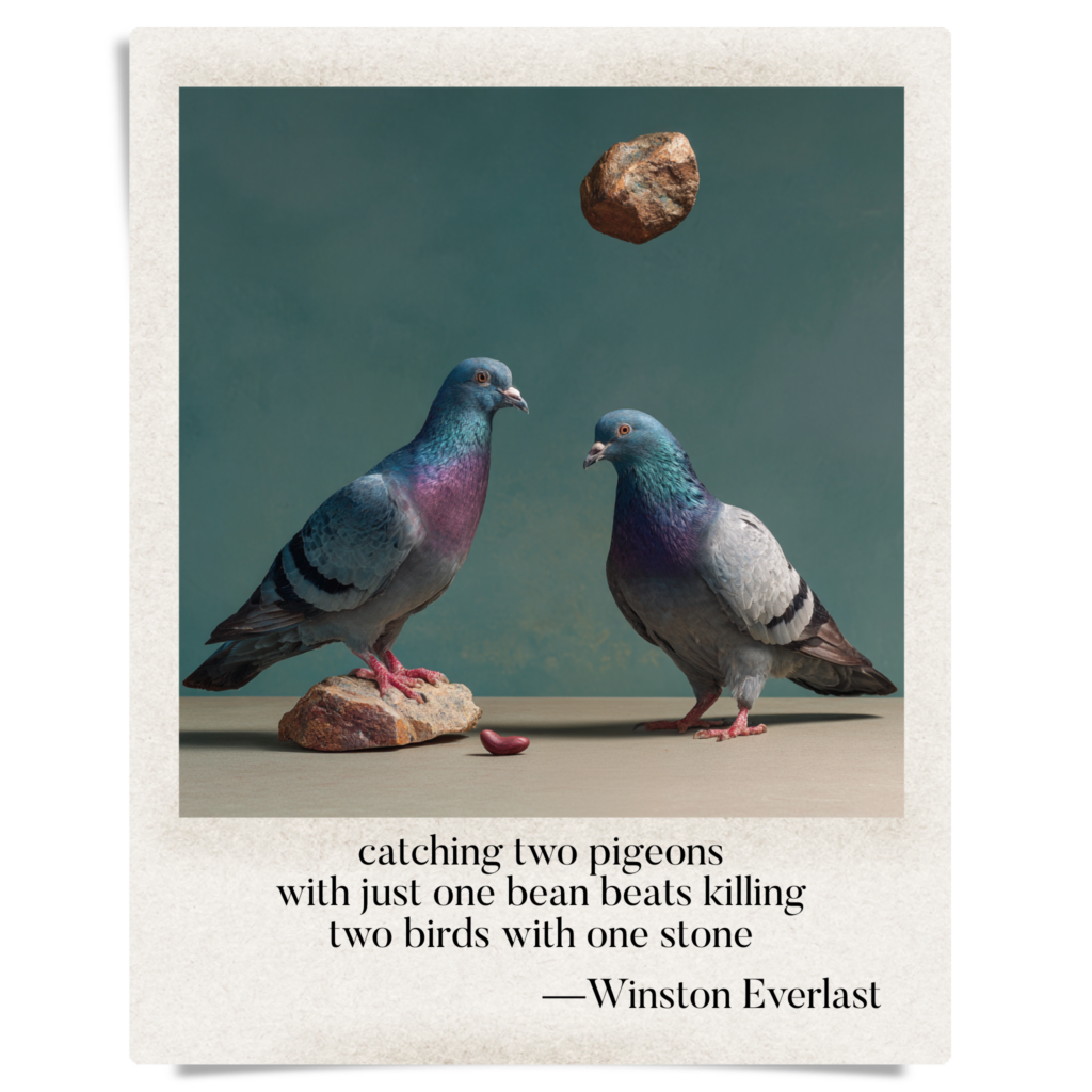 catching two pigeons / with just one bean beats killing / two birds with one stone — haiga by Winston Everlast