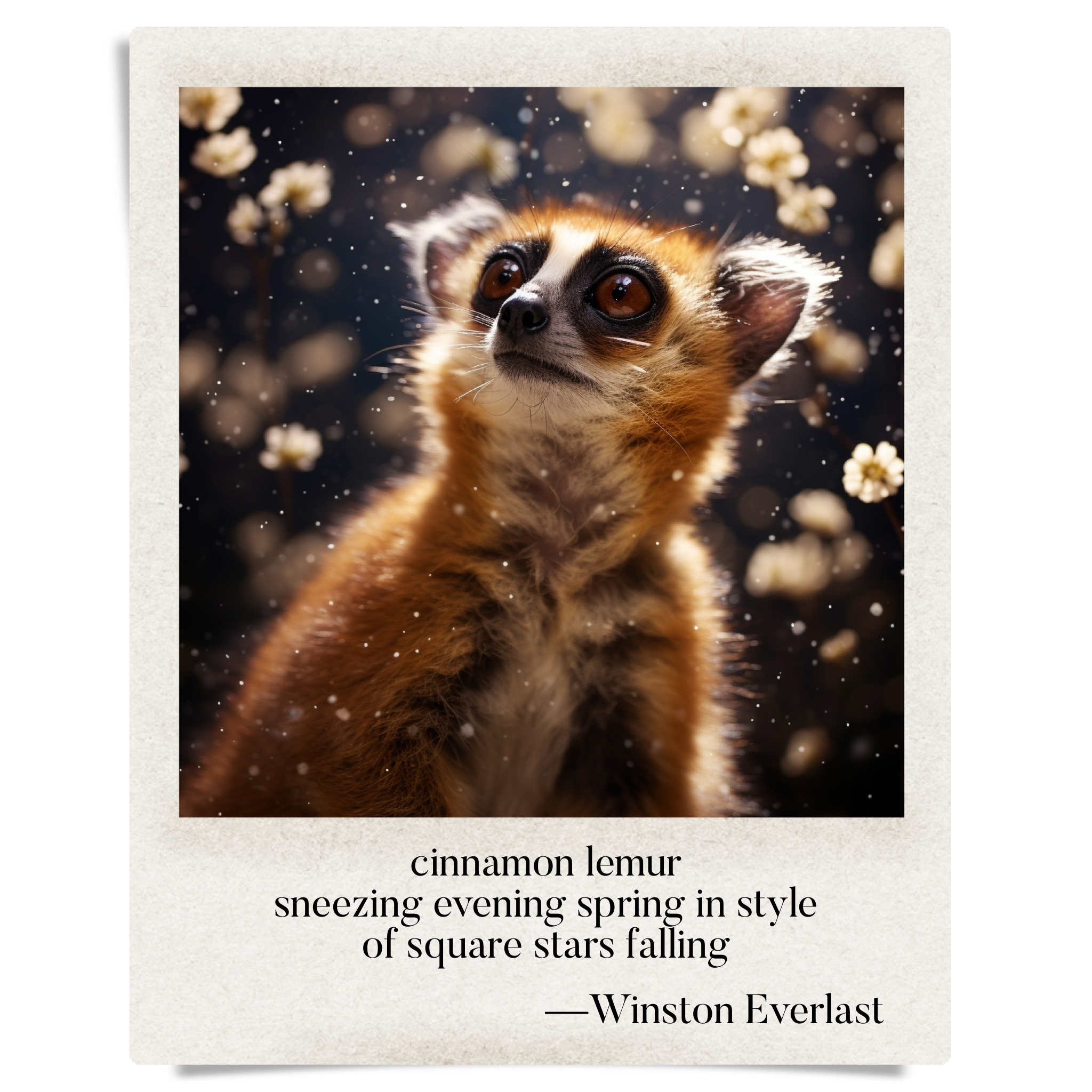 cinnamon lemur / sneezing evening spring in style / of square stars falling — haiga by Winston Everlast