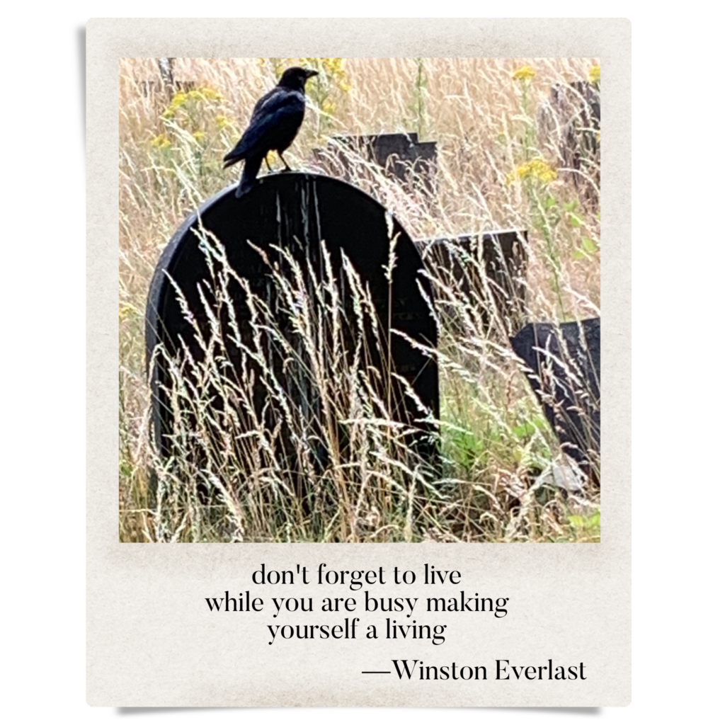 don't forget to live / while you are busy making / yourself a living — haiga by Winston Everlast