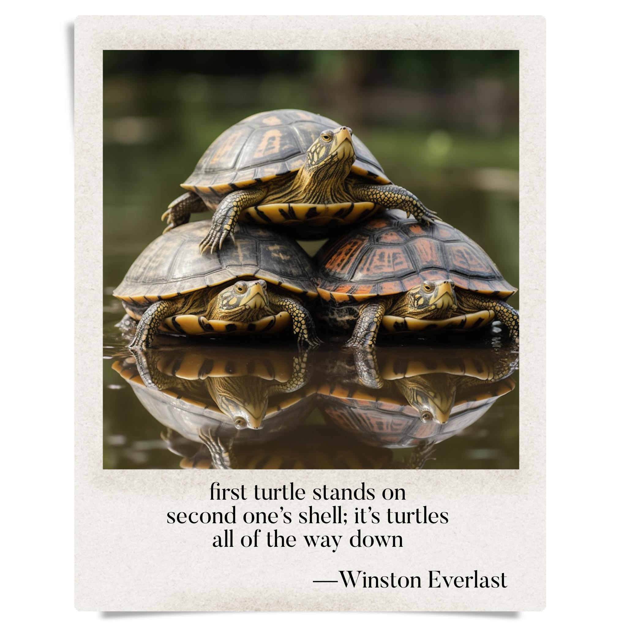 first turtle stands on / second one's shell; it's turtles / all of the way down — haiga by Winston Everlast