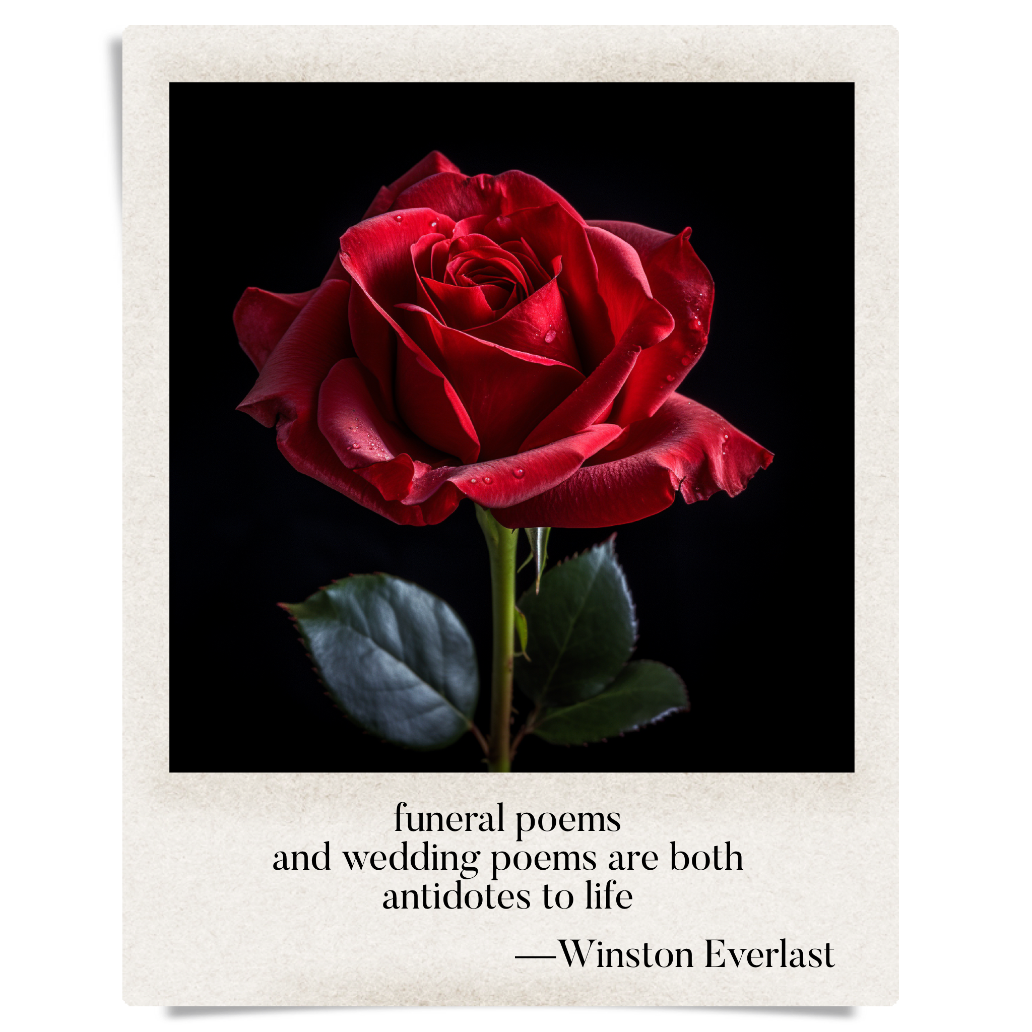 funeral poems / and wedding poems are both / antidotes to life — haiga by Winston Everlast