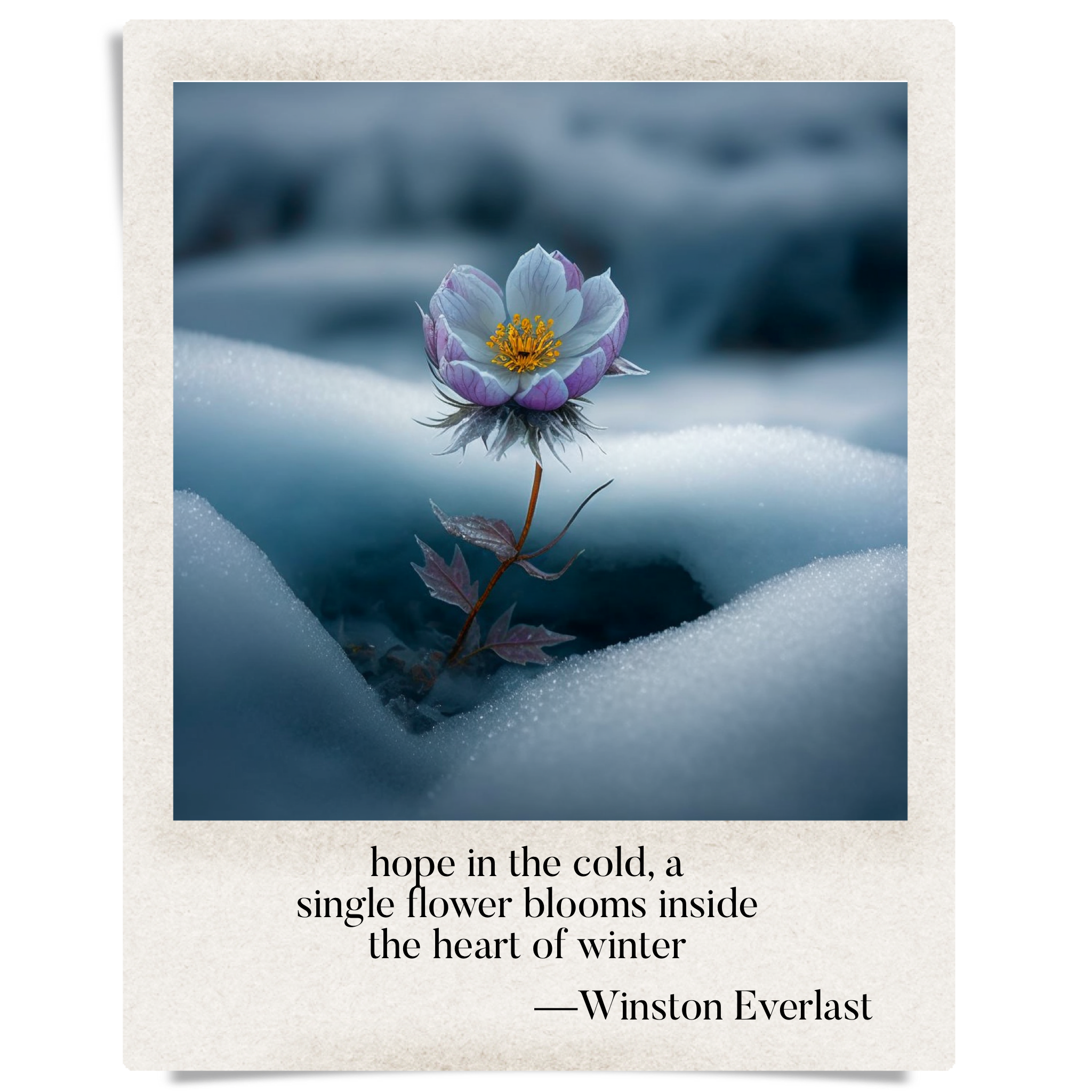 hope in the cold, a / single flower blooms inside / the heart of winter — haiga by Winston Everlast