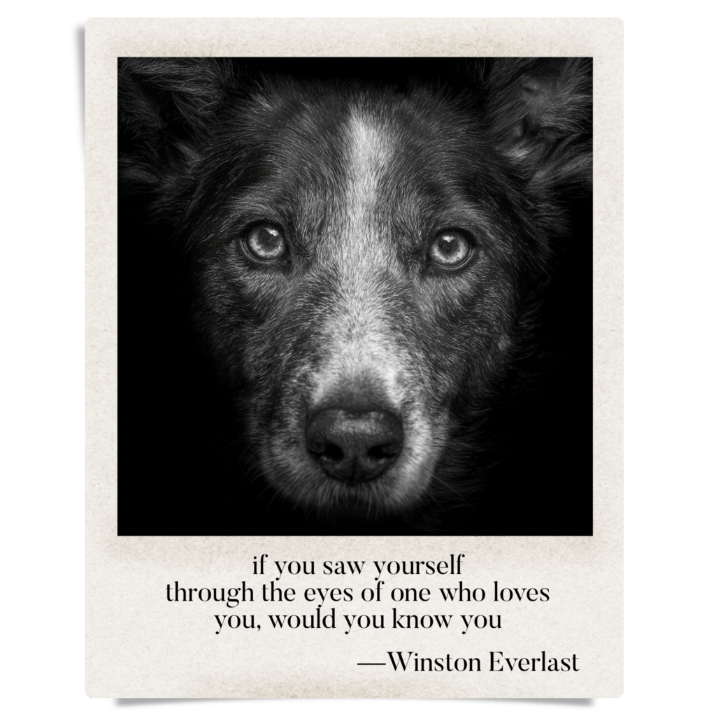 if you saw yourself / through the eyes of one who loves / you, would you know you — haiga by Winston Everlast