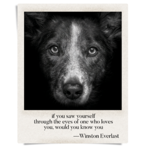 if you saw yourself / through the eyes of one who loves / you, would you know you