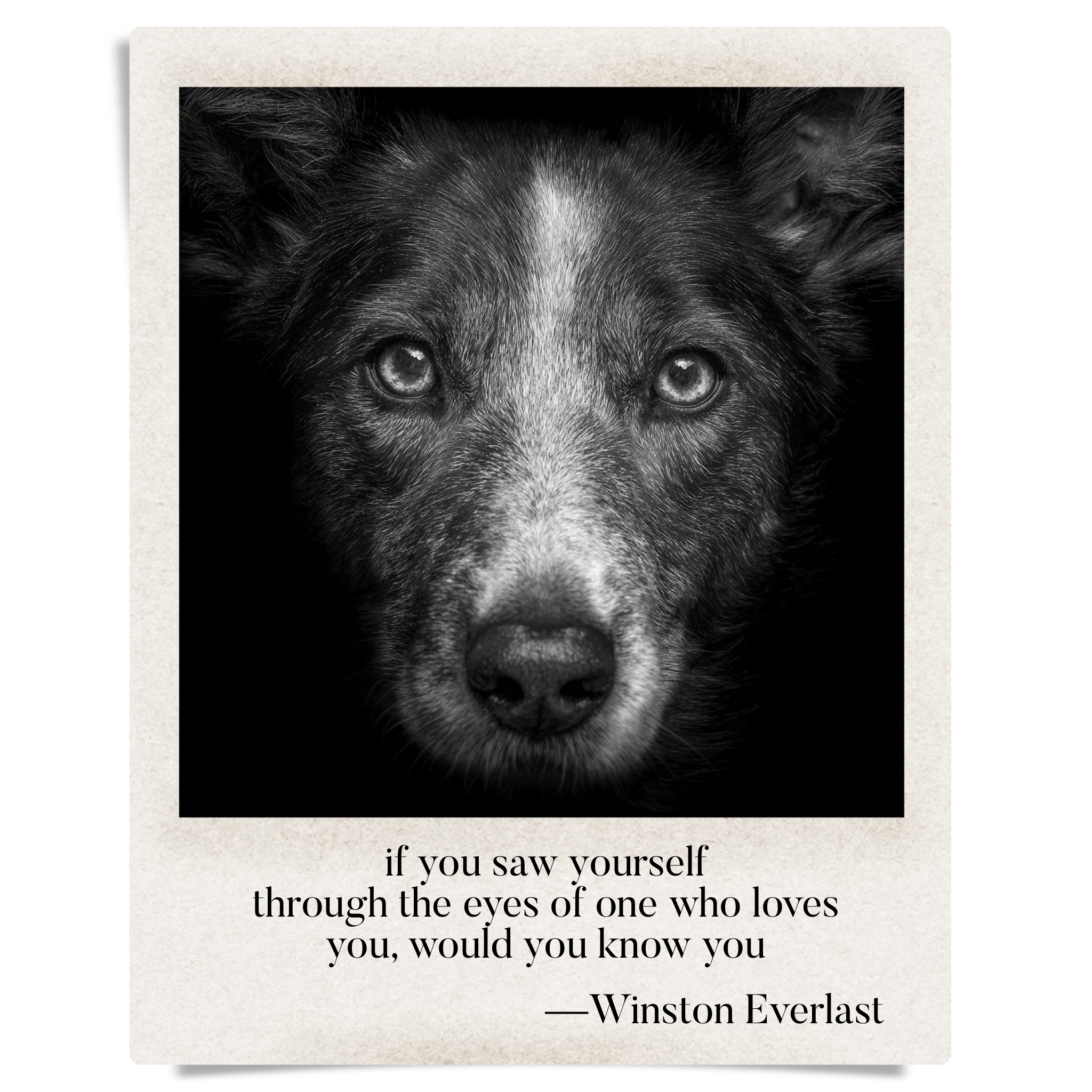 if you saw yourself / through the eyes of one who loves / you, would you know you — haiga by Winston Everlast
