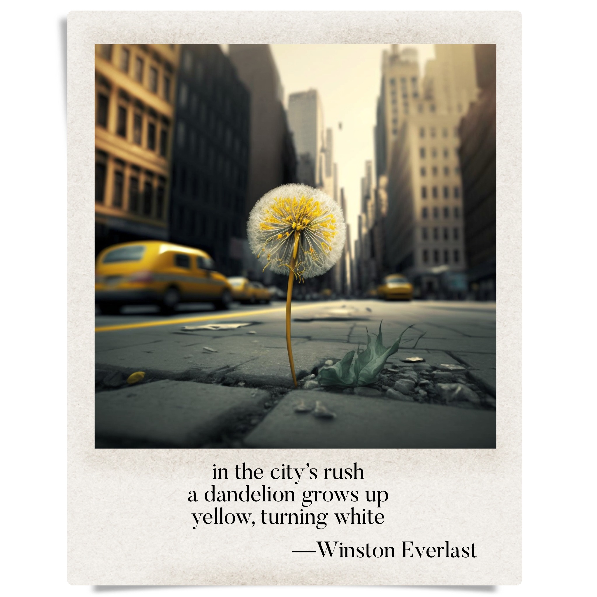 in the city's rush / a dandelion grows up / yellow, turning white — haiga by Winston Everlast