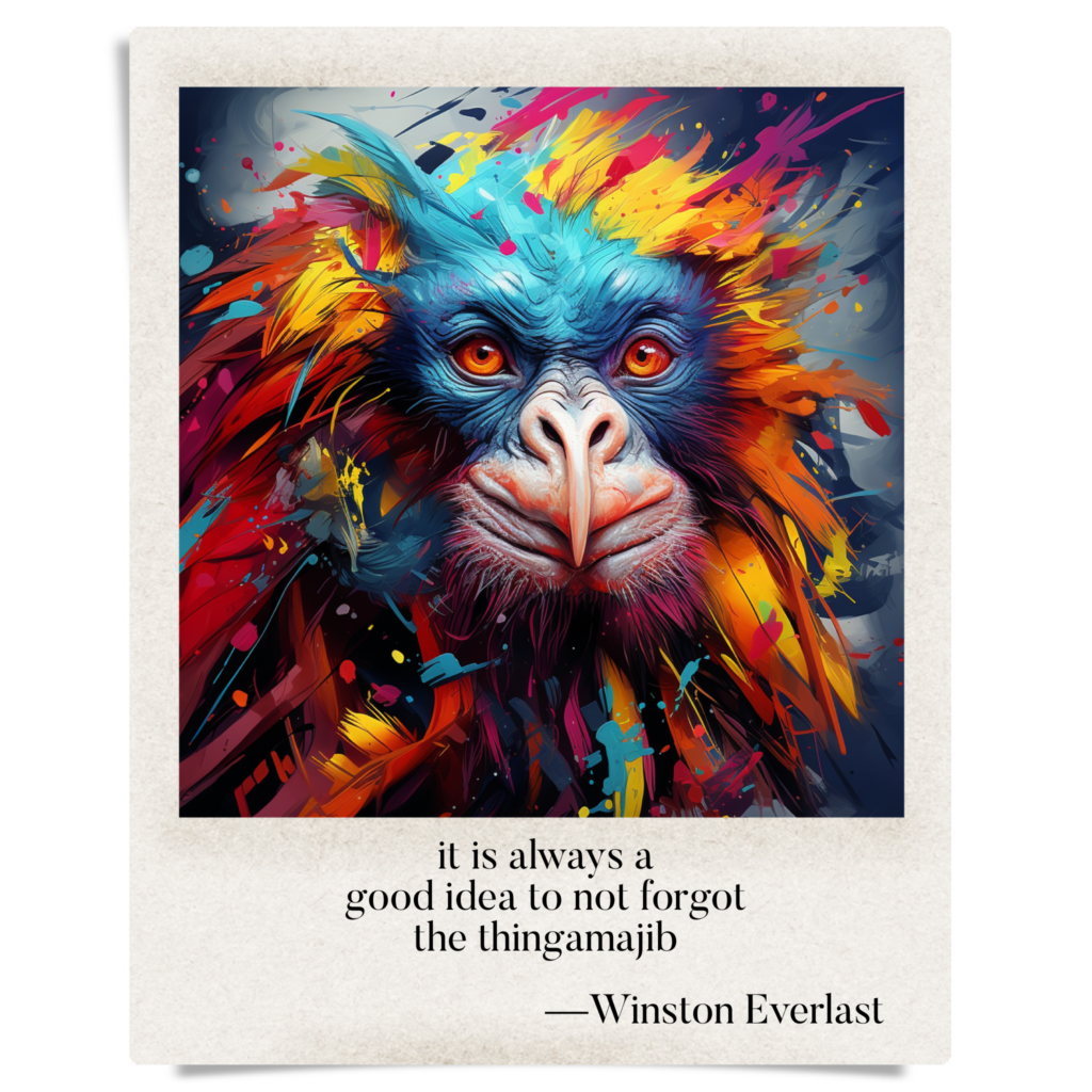 it is always a / good idea to not forgot / the thingamajib — haiga by Winston Everlast