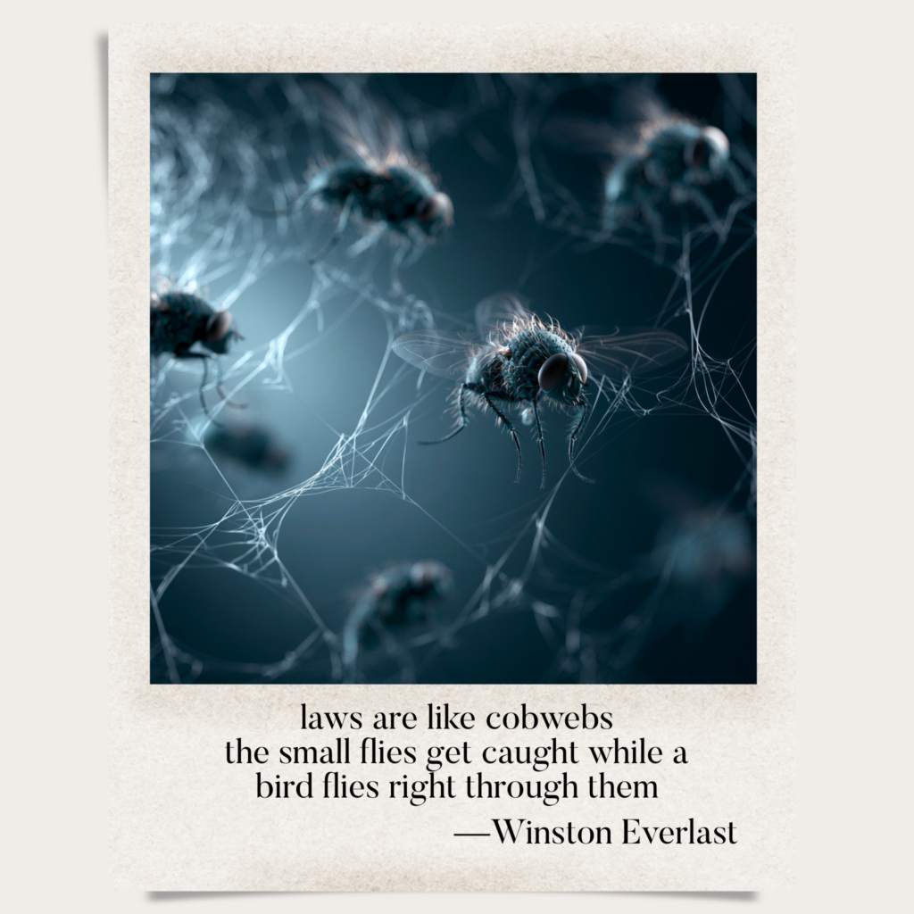 laws are like cobwebs / the small flies get caught while a / bird flies right through them — haiga by Winston Everlast