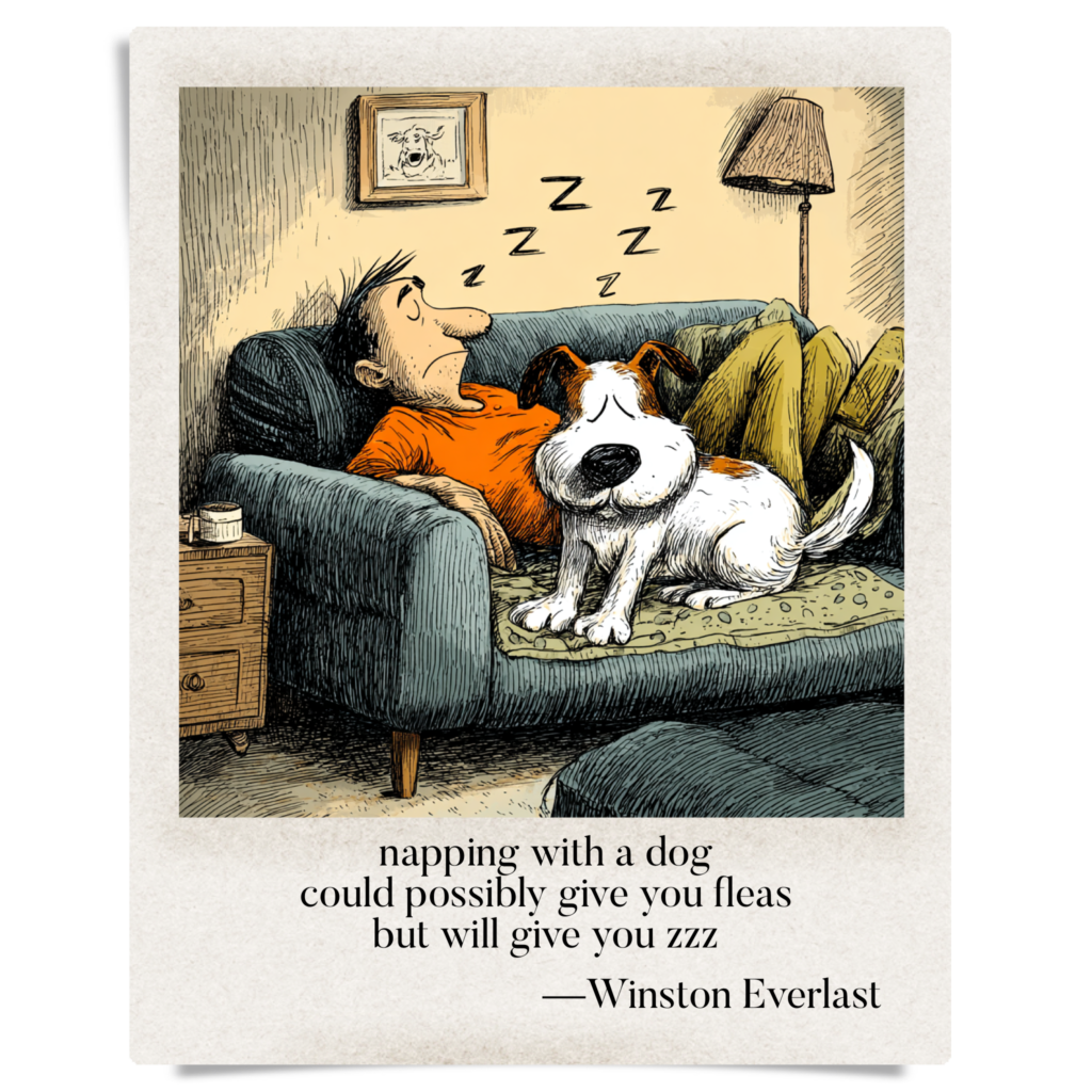 napping with a dog / could possibly give you fleas / but will give you zzz — haiga by Winston Everlast