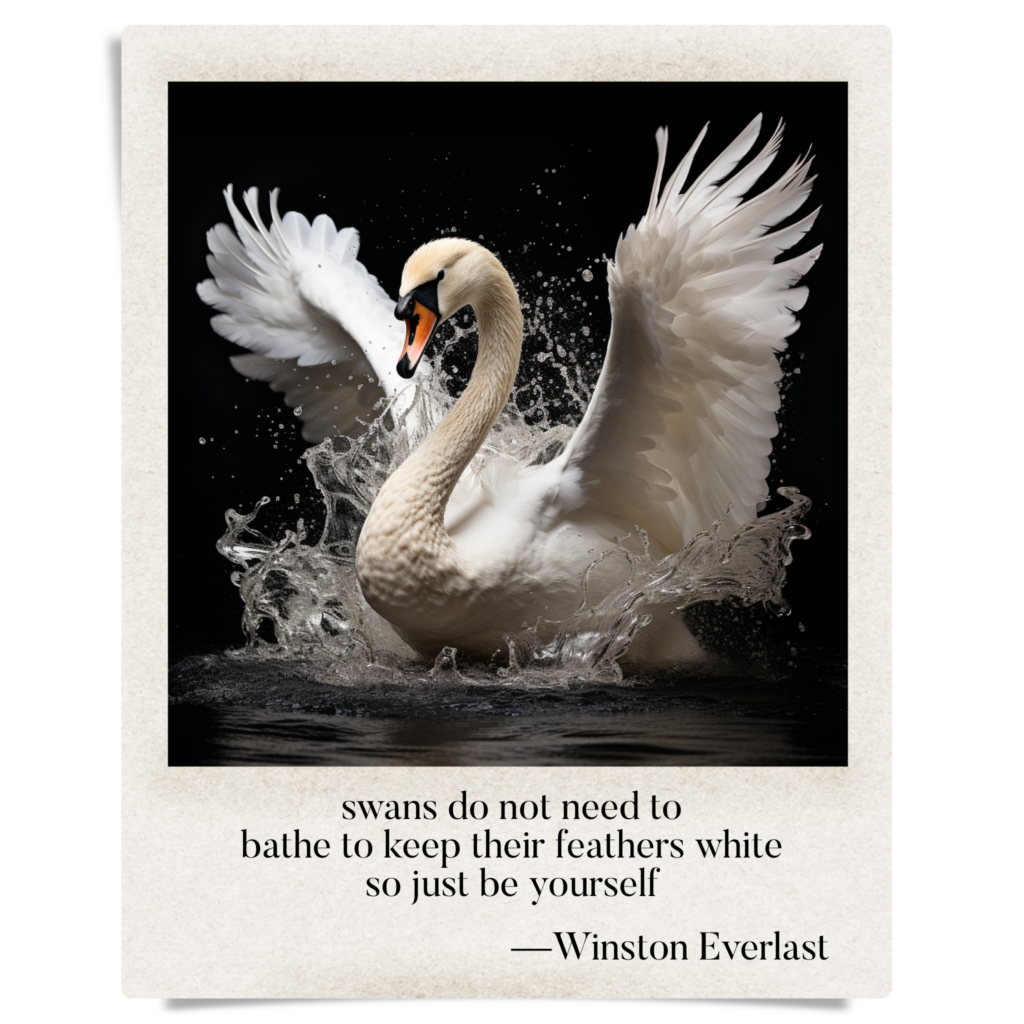 swans do not need to / bathe to keep their feathers white / so just be yourself — haiga by Winston Everlast