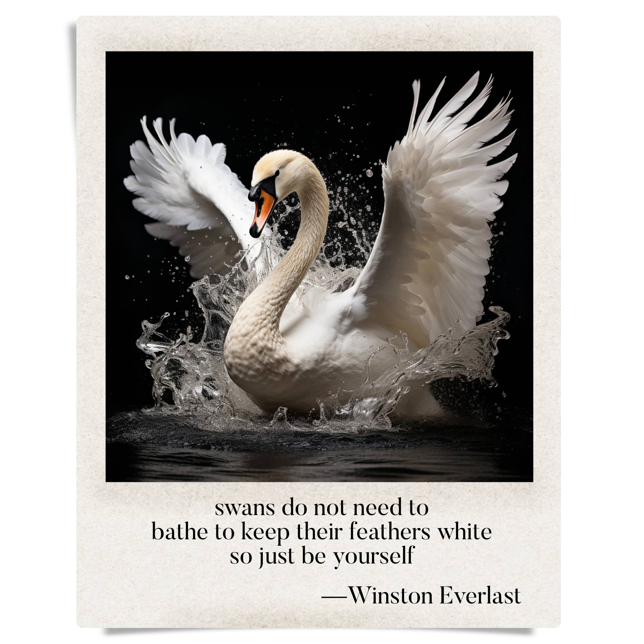 swans do not need to / bathe to keep their feathers white / so just be yourself — haiga by Winston Everlast