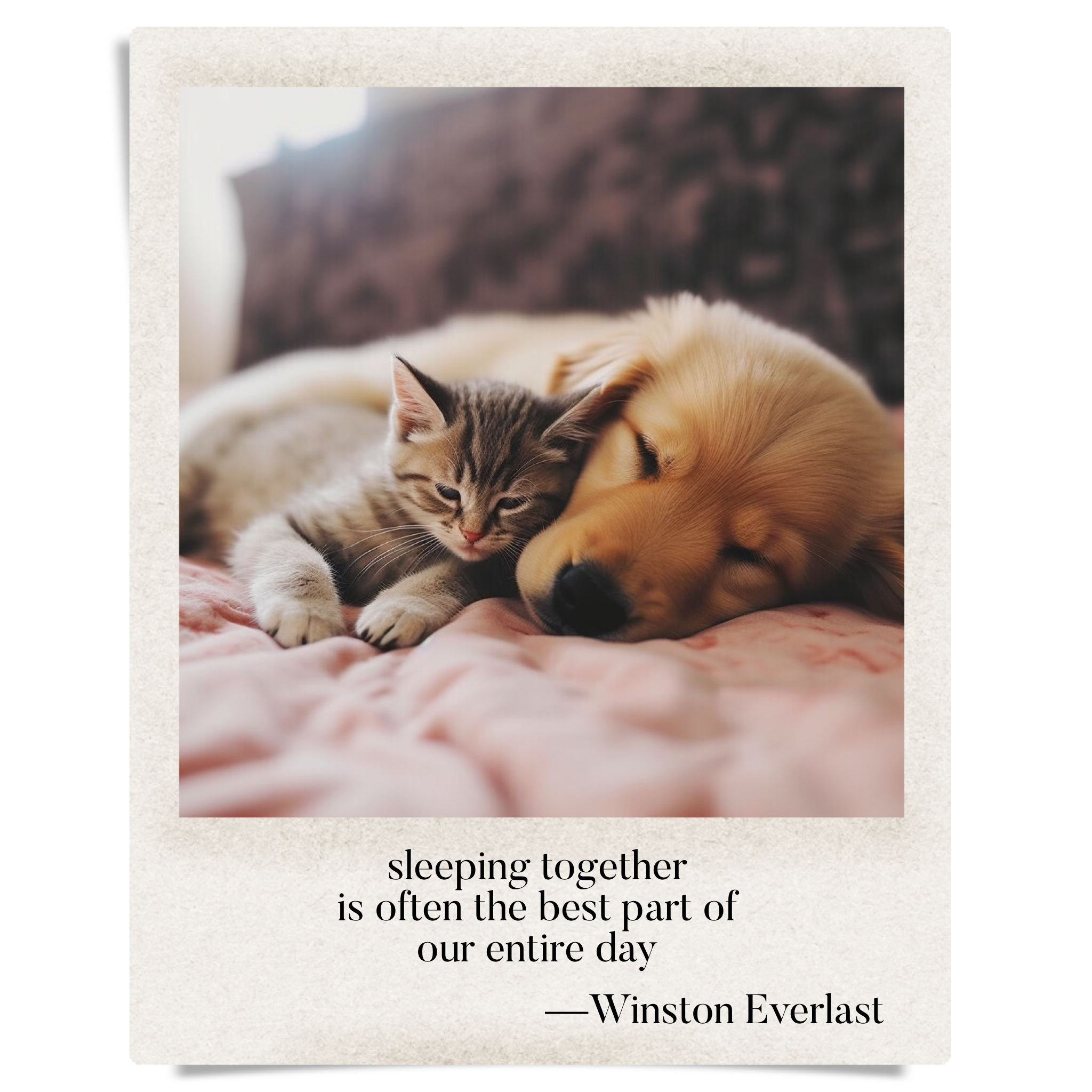 sleeping together / is often the best part of / our entire day — haiga by Winston Everlast