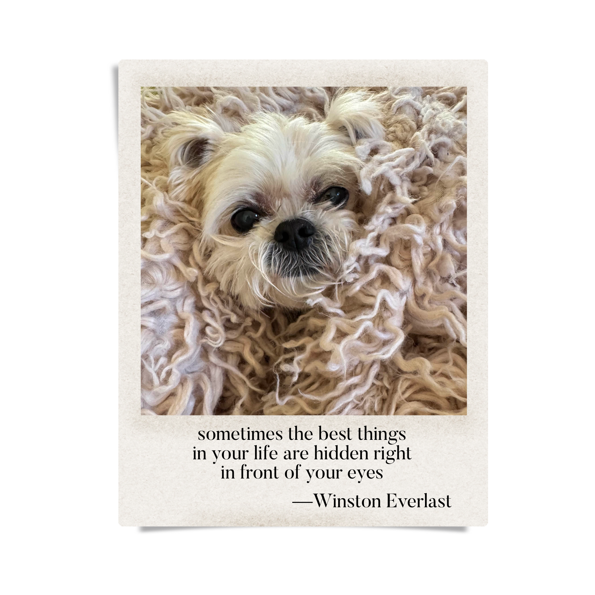 sometimes the best things / in your life are hidden right / in front of your eyes — haiga by Winston Everlast