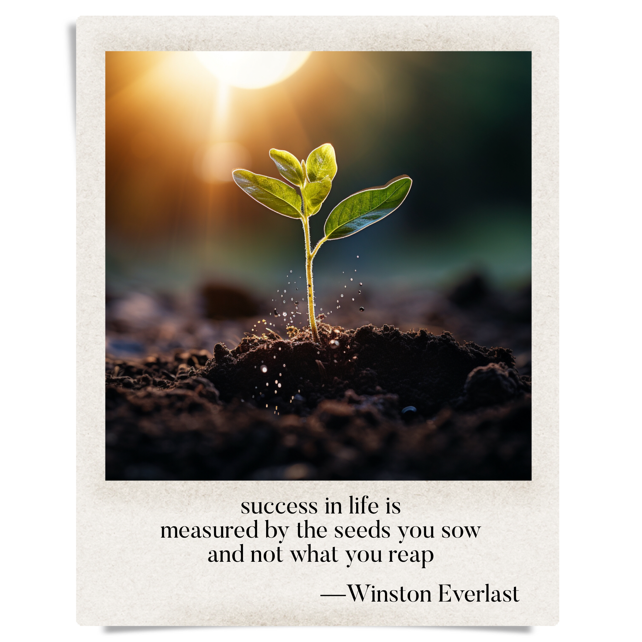 success in life is / measured by the seeds you sow / and not what you reap — haiga by Winston Everlast