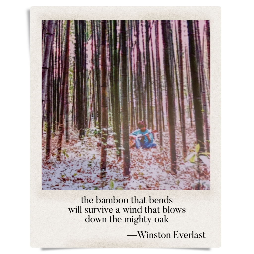 the bamboo that bends / will survive a wind that blows / down the mighty oak — haiga by Winston Everlast