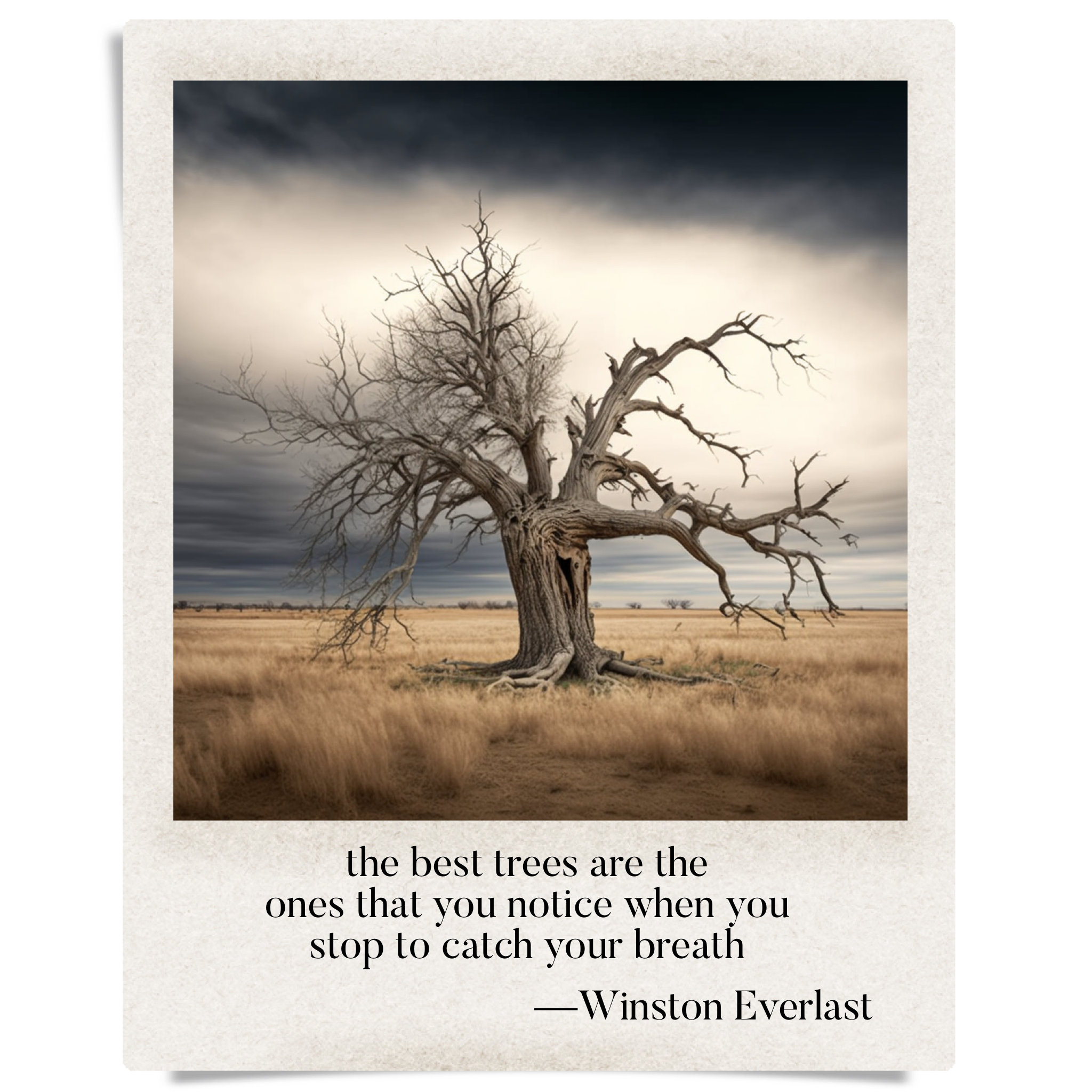 the best trees are the / ones that you notice when you / stop to catch your breath — haiga by Winston Everlast