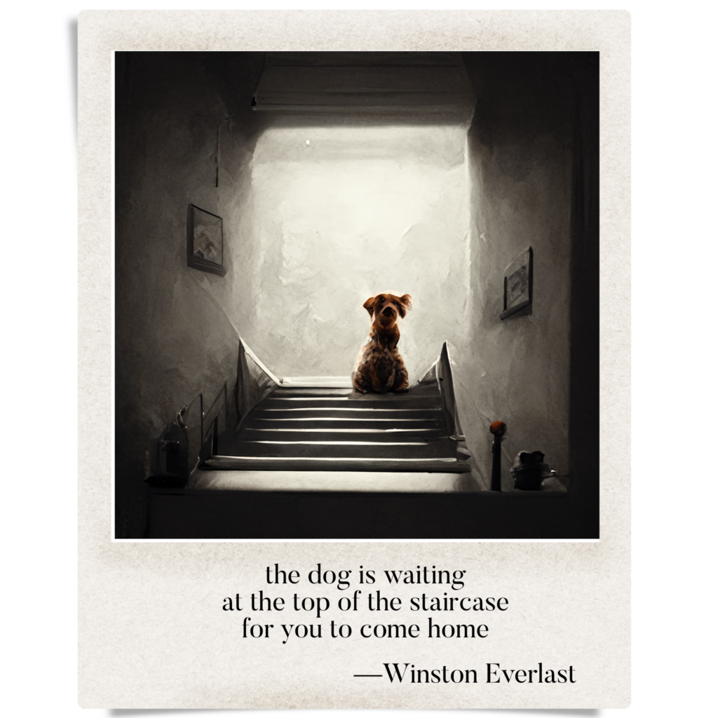 the dog is waiting / at the top of the staircase / for you to come home — haiga by Winston Everlast