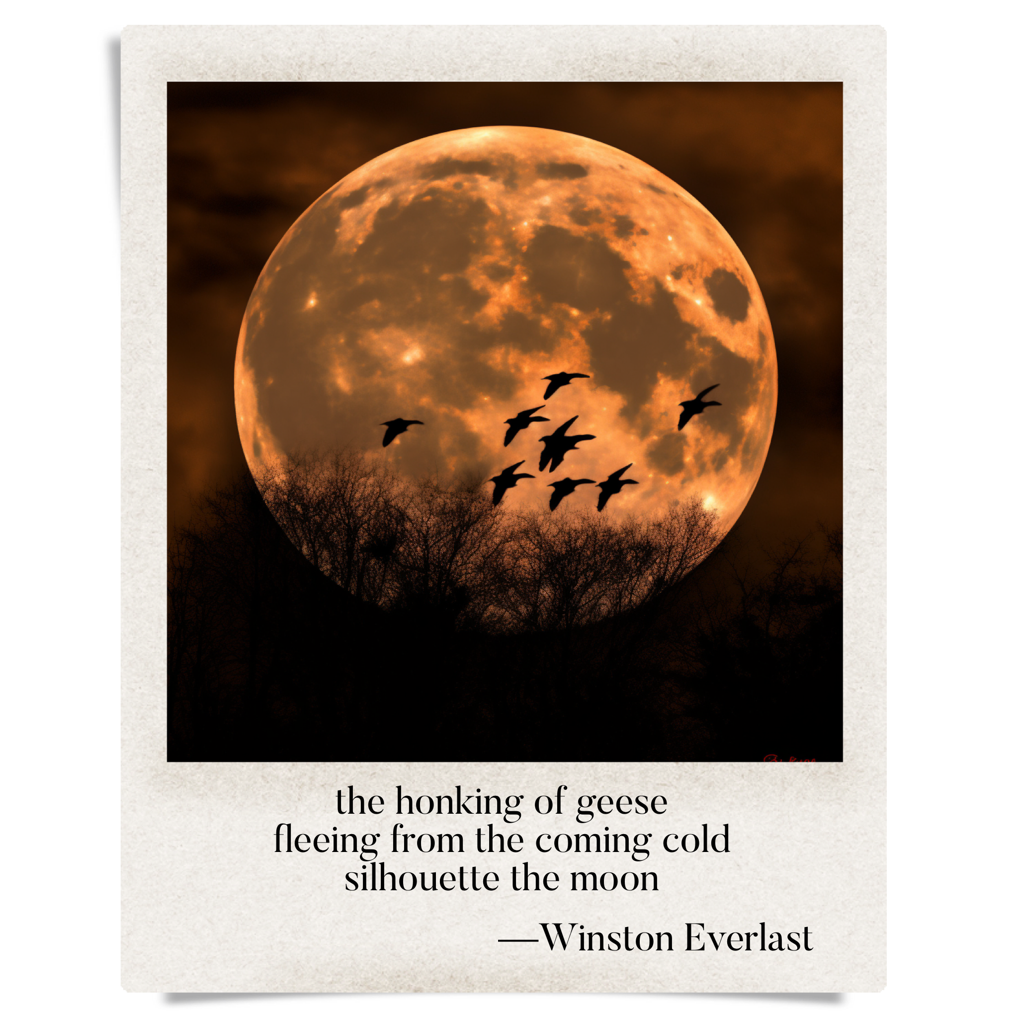 the honking of geese / fleeing from the coming cold / silhouette the moon — haiga by Winston Everlast