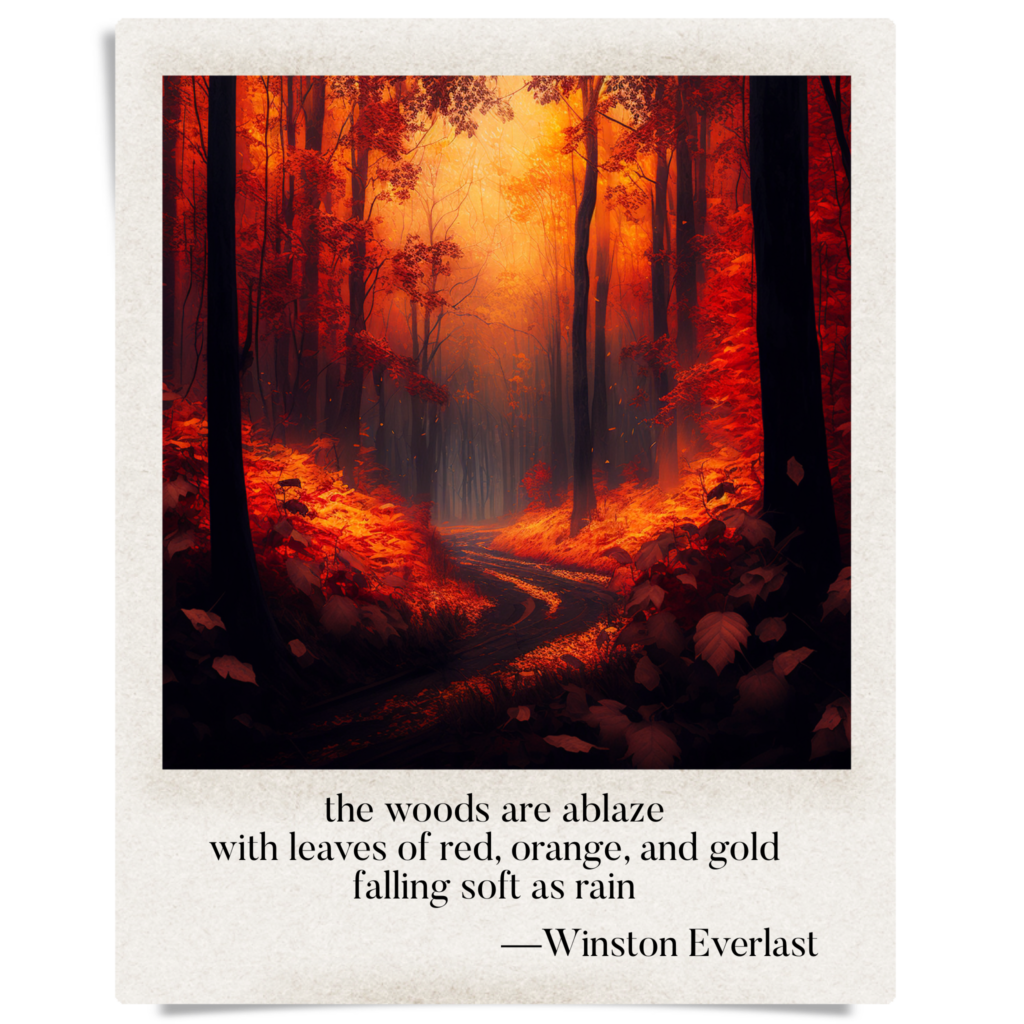 the woods are ablaze / with leaves of red, orange, and gold / falling soft as rain — haiga by Winston Everlast