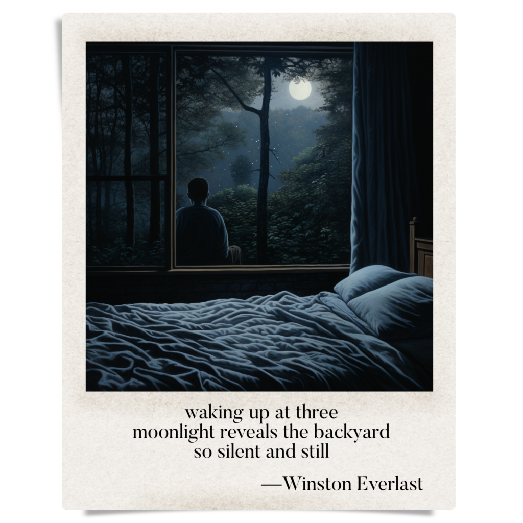 waking up at three / moonlight reveals the backyard / so silent and still — haiga by Winston Everlast