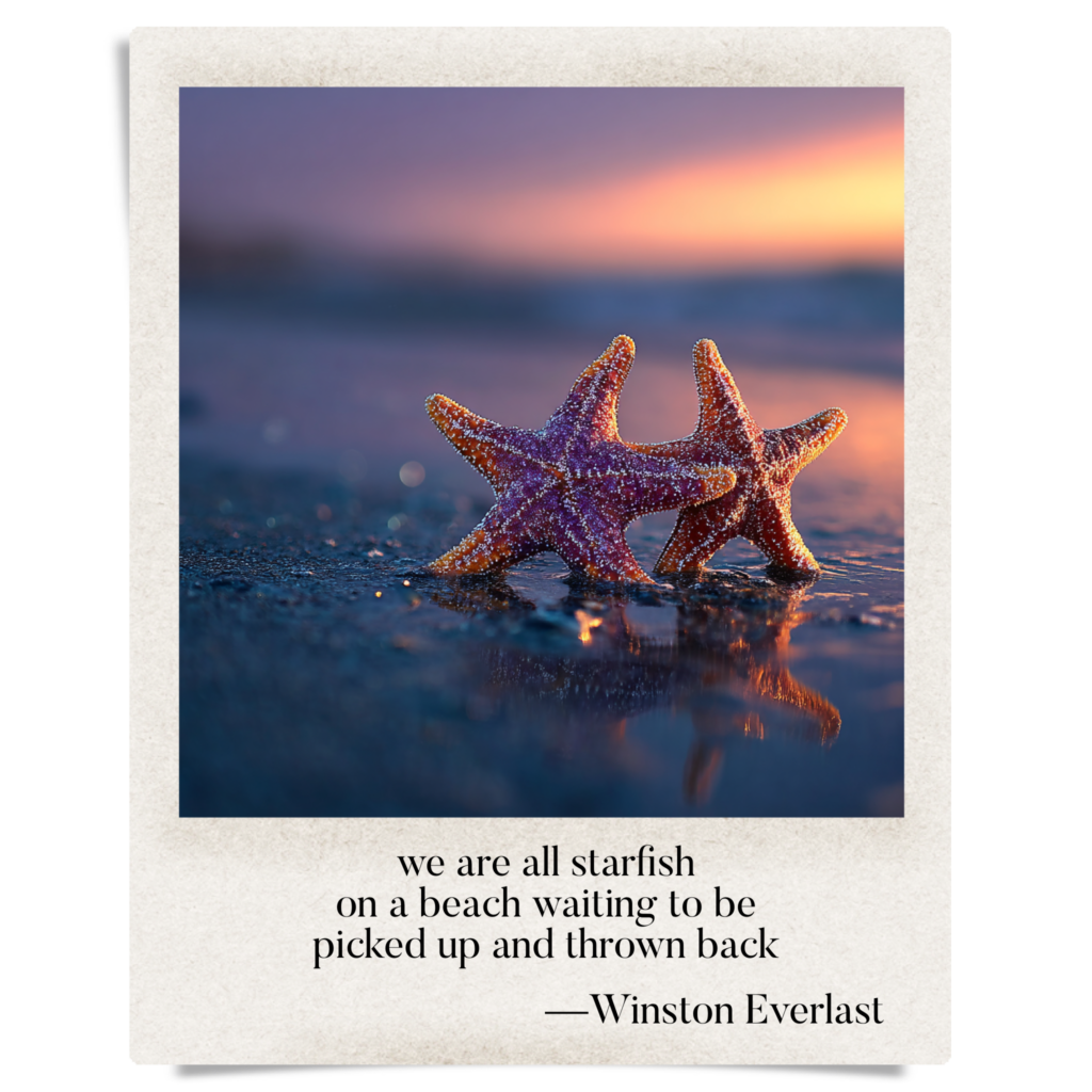 we are all starfish / on a beach waiting to be / picked up and thrown back — haiga by Winston Everlast