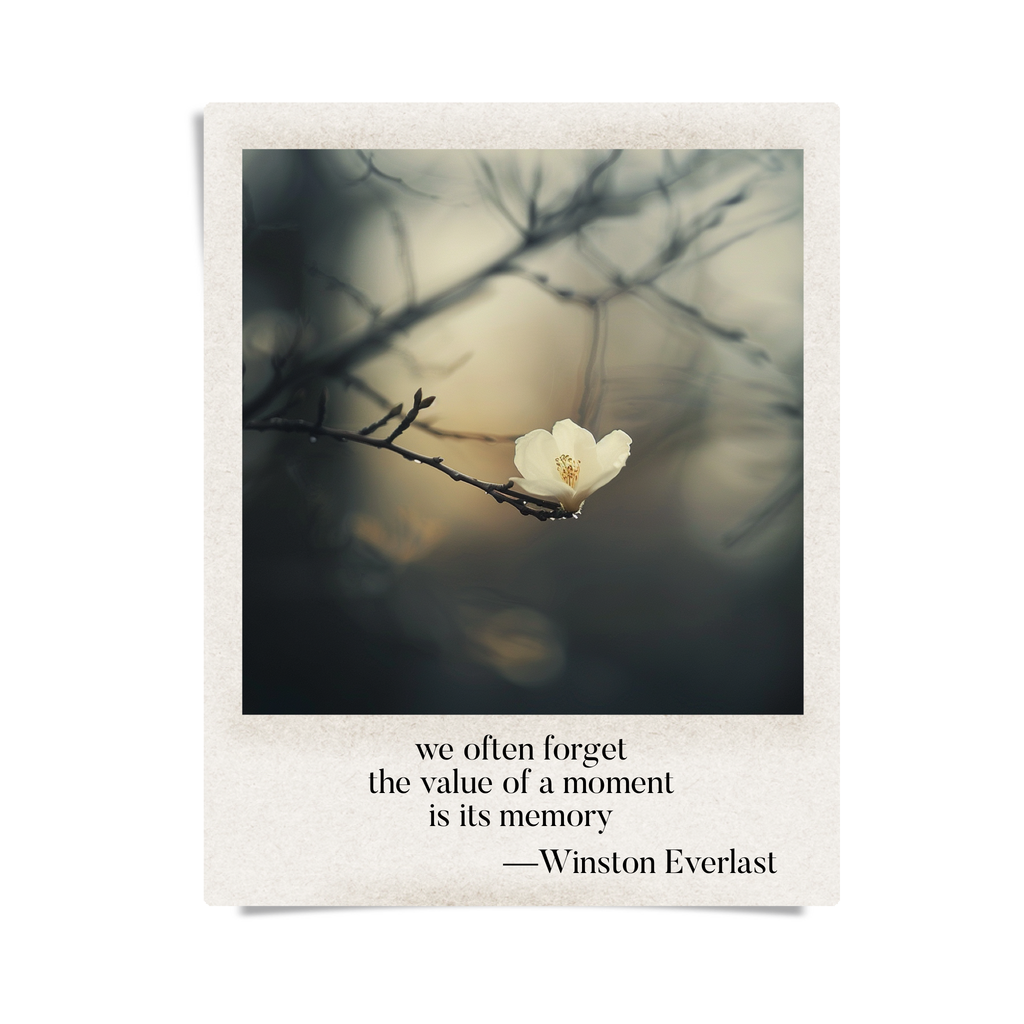 we often forget / the value of a moment / is its memory — haiga by Winston Everlast