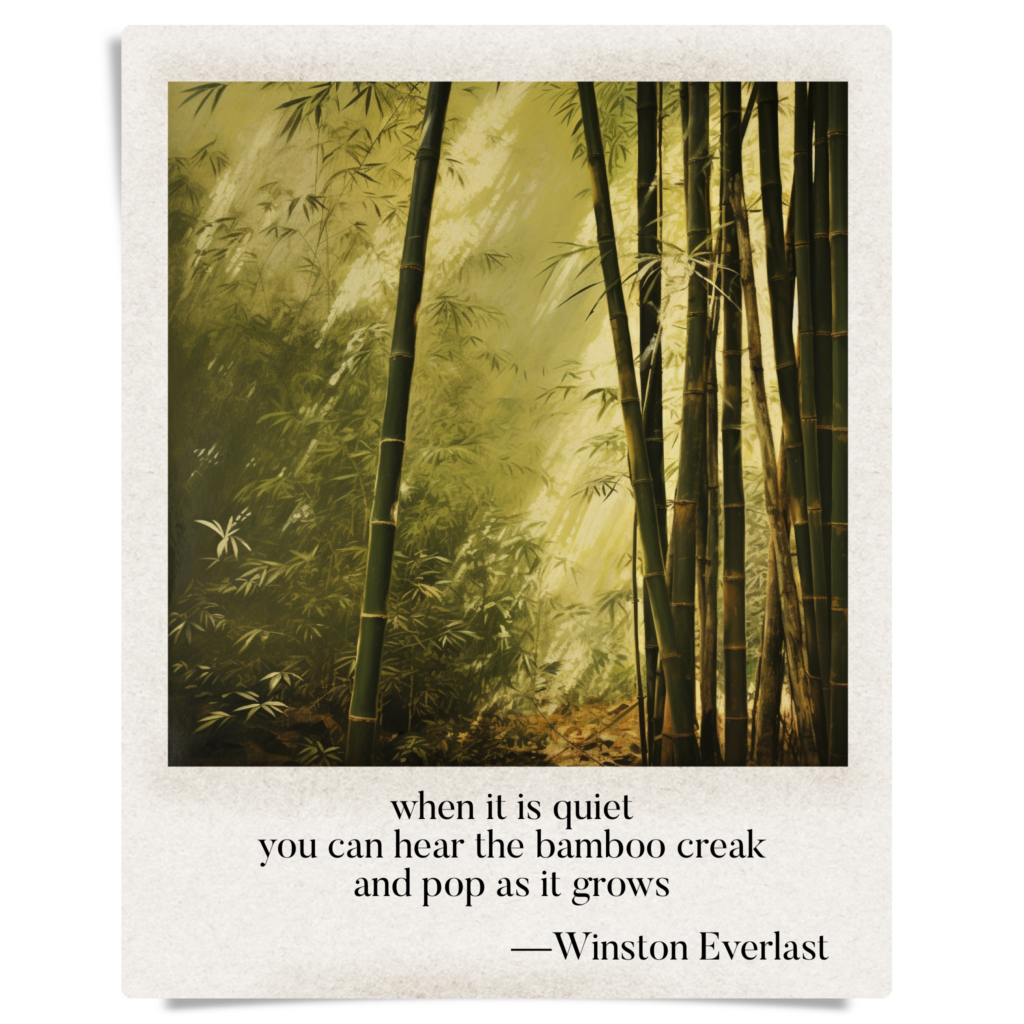 when it is quiet / you can hear the bamboo creak / and pop as it grows — haiga by Winston Everlast