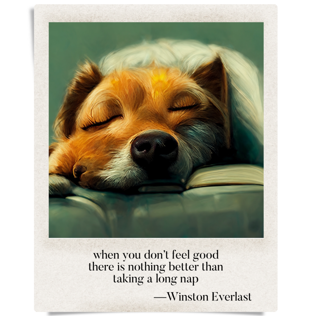 when you don't feel good / there is nothing better than / taking a long nap — haiga by Winston Everlast