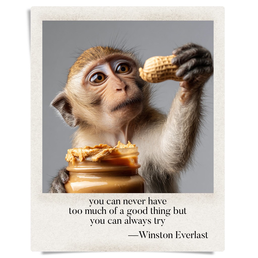 you can never have / too much of a good thing but / you can always try — haiga by Winston Everlast