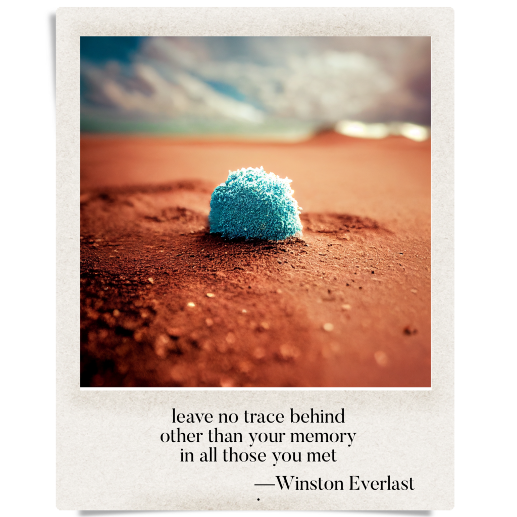 leave no trace behind / other than your memory / in all those you met — haiga by Winston Everlast