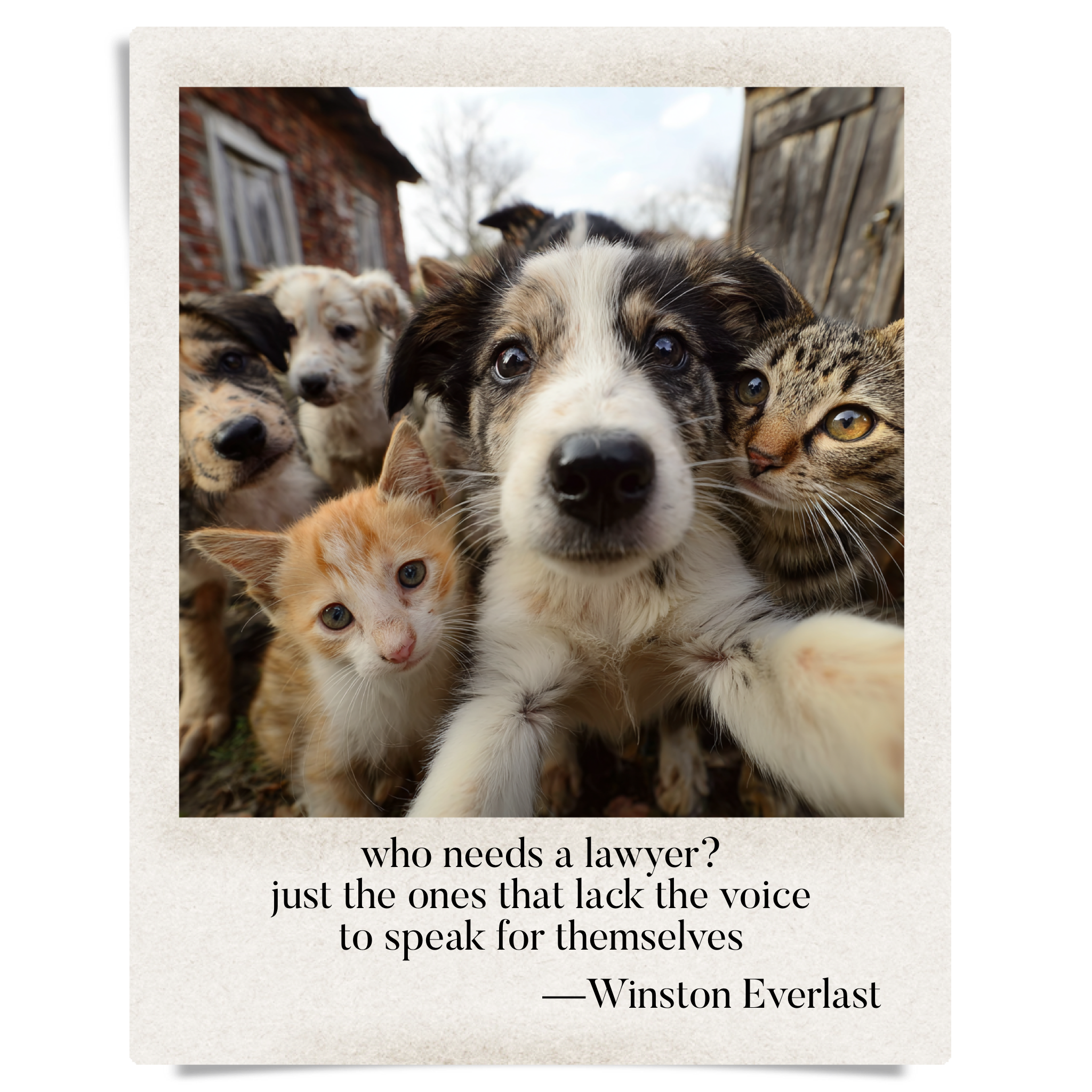 who needs a lawyer? / just the ones that lack the voice / to speak for themselves — haiga by Winston Everlast