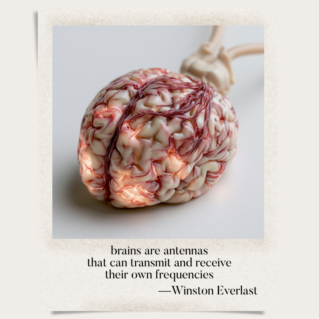 brains are antennas / that can transmit and receive / their own frequencies — haiga by Winston Everlast