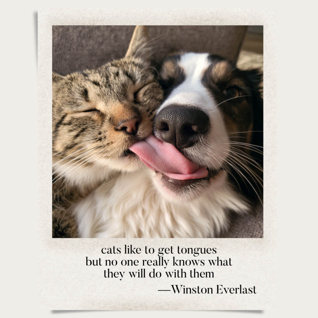 cats like to get tongues / but no one really knows what / they will do with them — haiga by Winston Everlast