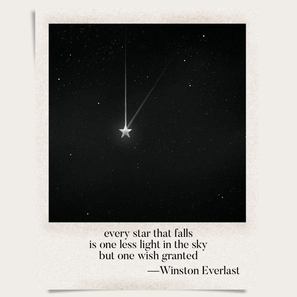 every star that falls / is one less light in the sky / but one wish granted — haiga by Winston Everlast