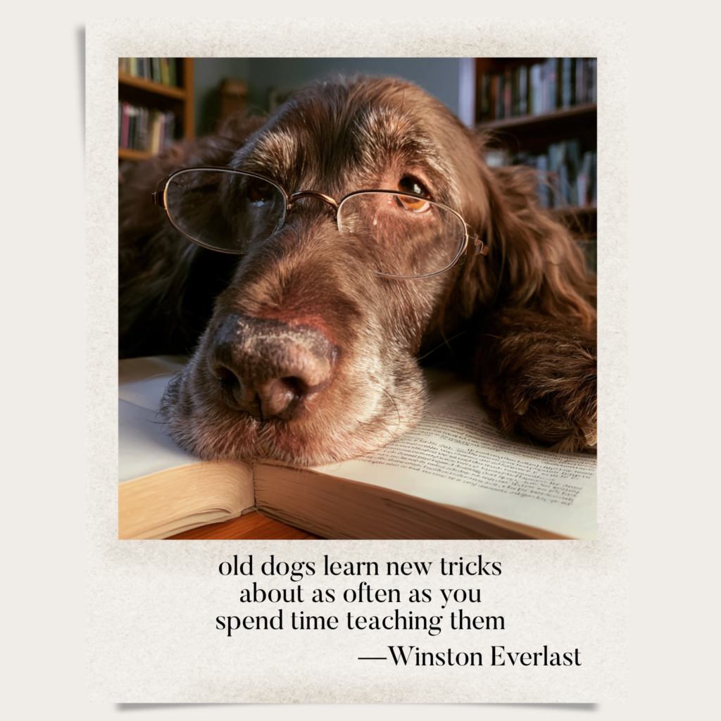 old dogs learn new tricks / about as often as you / spend time teaching them — haiga by Winston Everlast