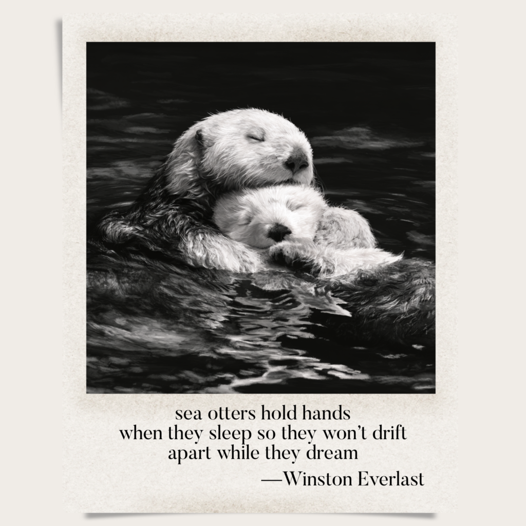 sea otters hold hands / when they sleep so they won't drift / apart while they dream — haiga by Winston Everlast